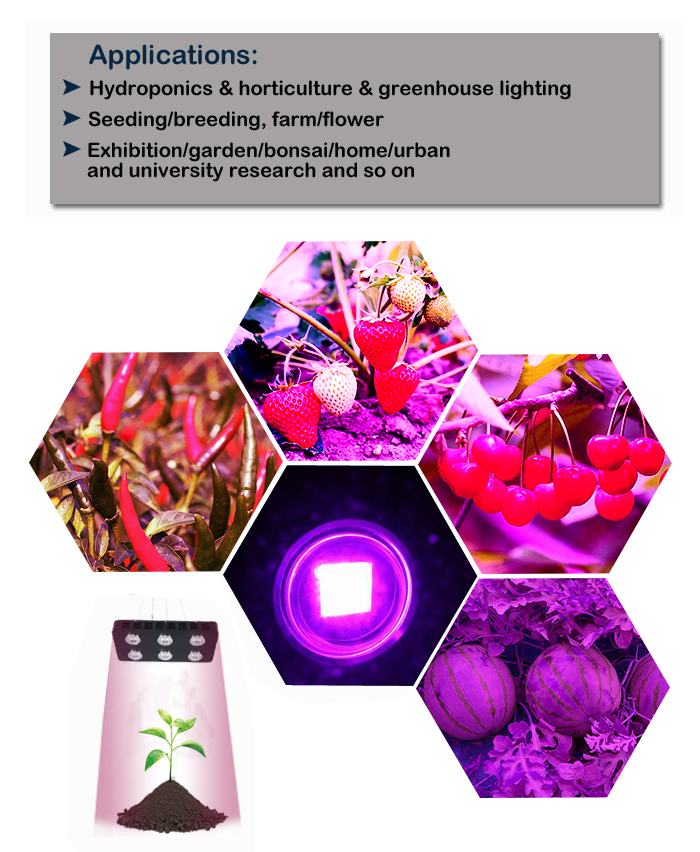 RGB Grow Light Applications: Hydroponics, horticulture